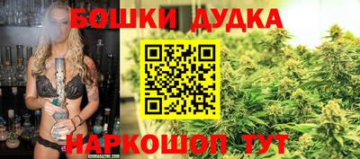 гидра Моздок