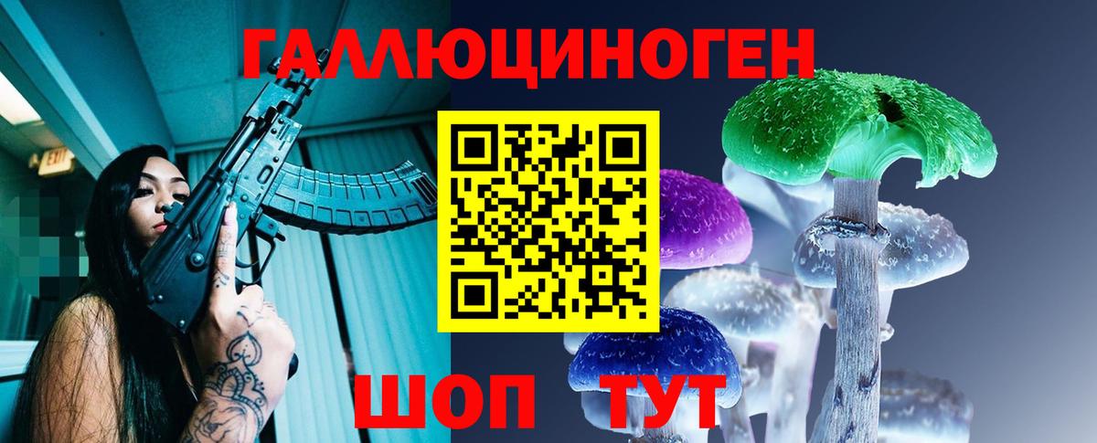 Псилоцибиновые грибы GOLDEN TEACHER  Галлюциногенные грибы Psilocybine cubensis  Вход с VPN  Мурино 